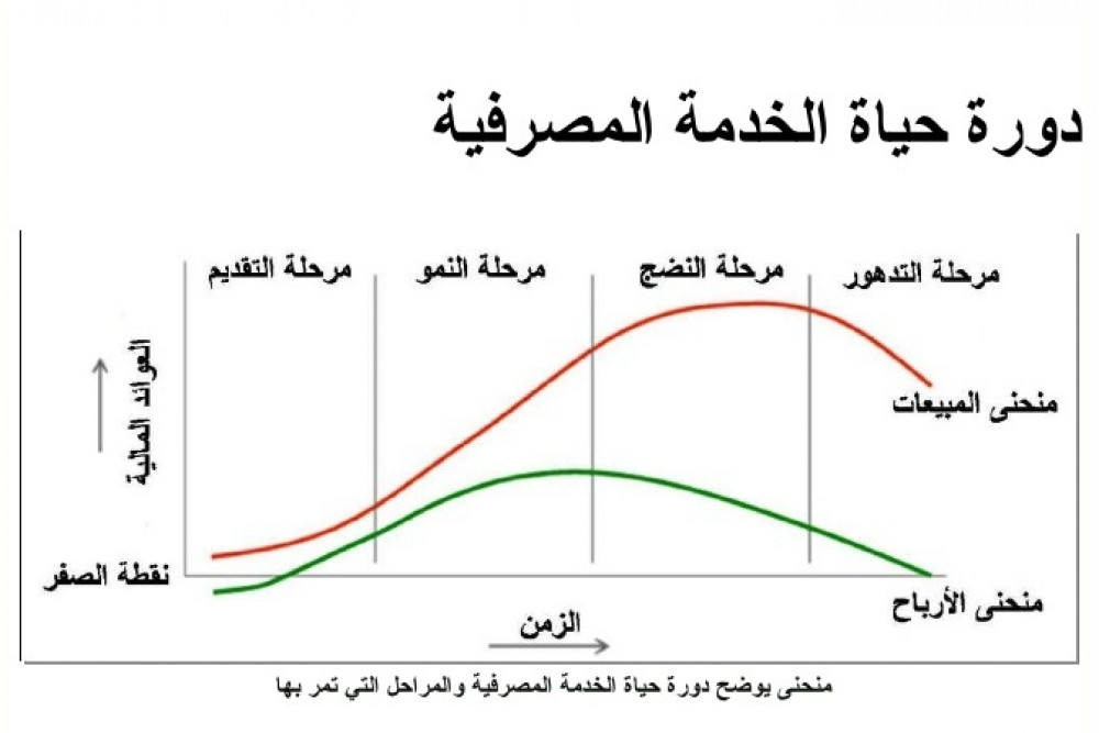 دورة حياة المنتج في السوق